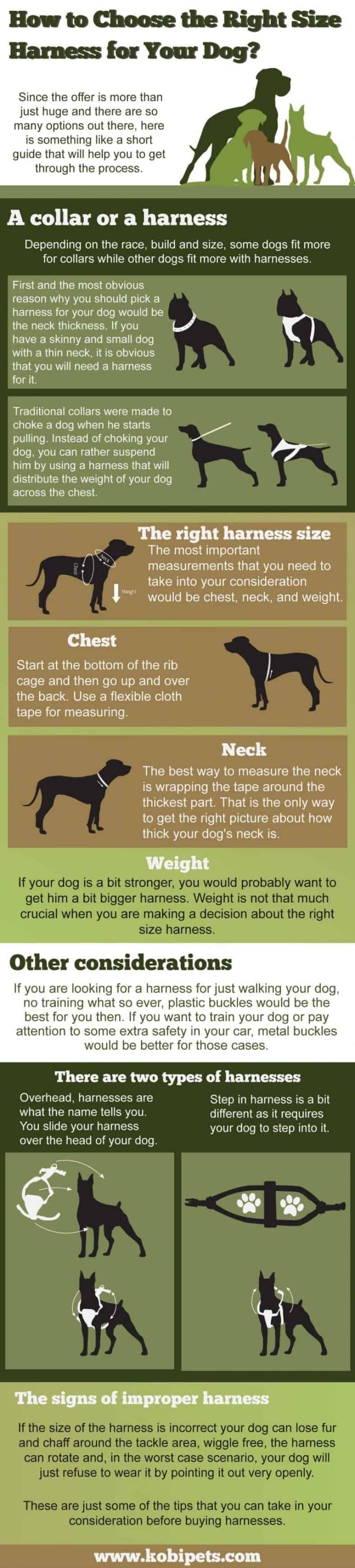 How to Choose the Right Size Harness for Your Dog? (Infographic)